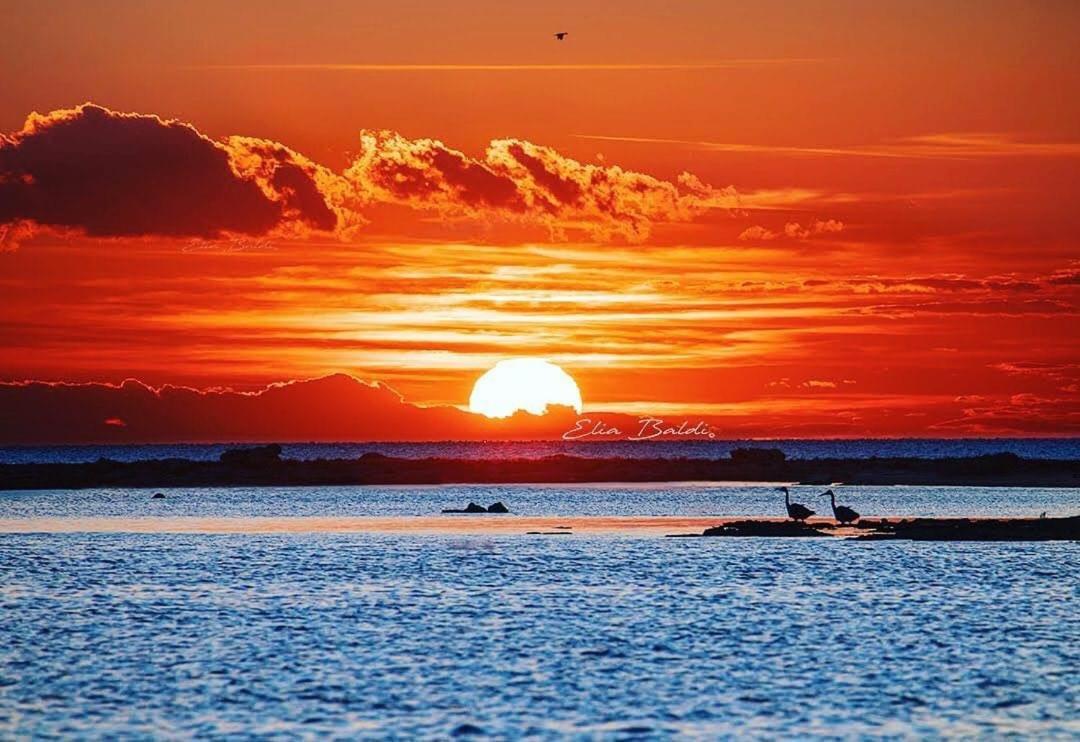 B&B La Strea Porto Cesareo Dış mekan fotoğraf