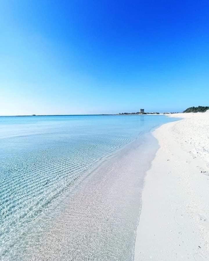 B&B La Strea Porto Cesareo Dış mekan fotoğraf