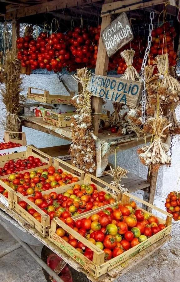 B&B La Strea Porto Cesareo Dış mekan fotoğraf
